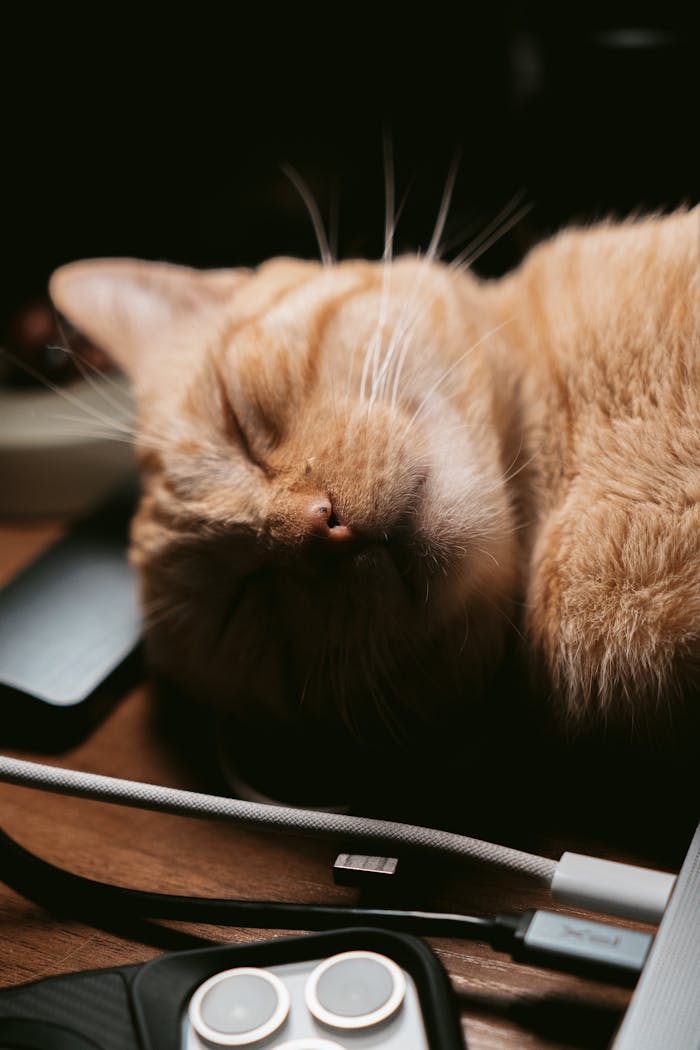 Adorable ginger cat sleeping on a desk surrounded by modern gadgets under dramatic lighting.