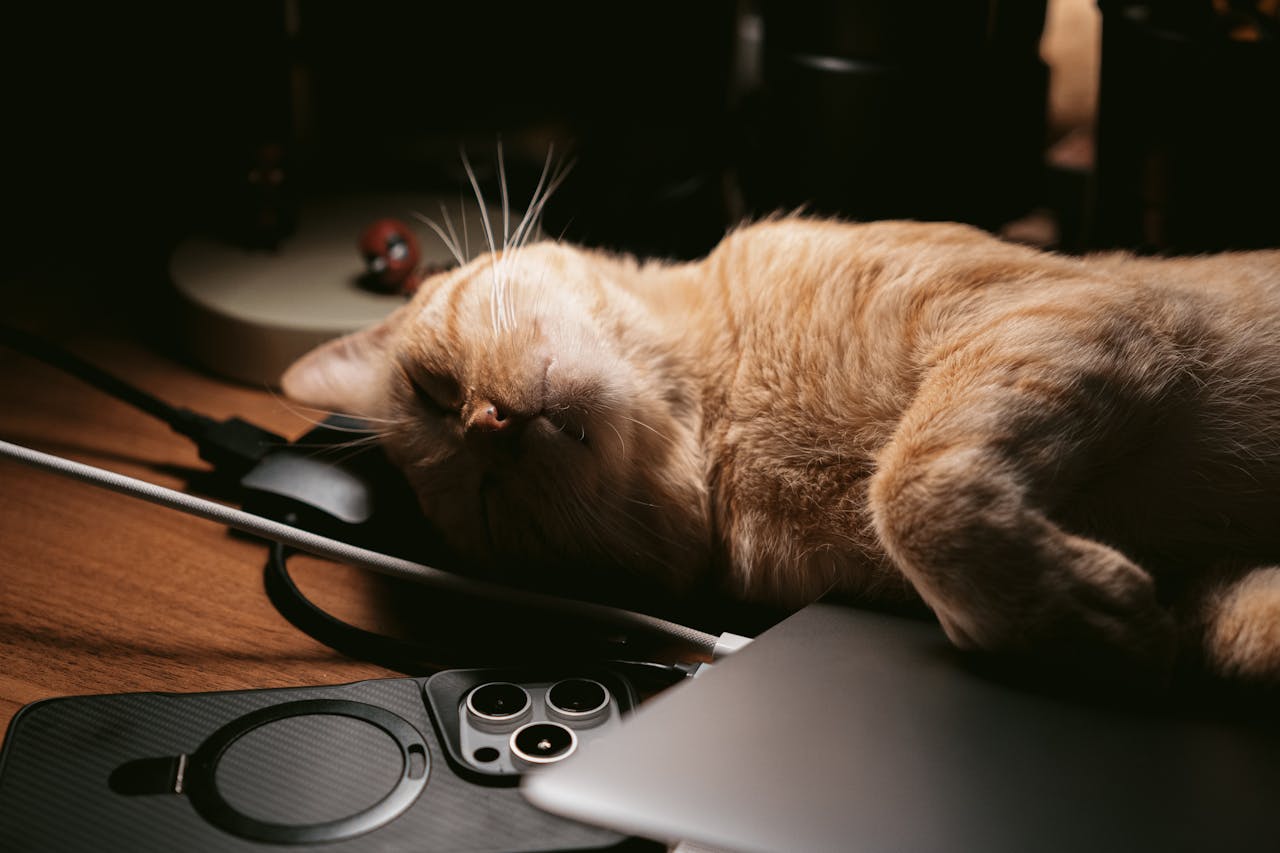 A ginger cat peacefully naps on a laptop surrounded by gadgets and soft light.